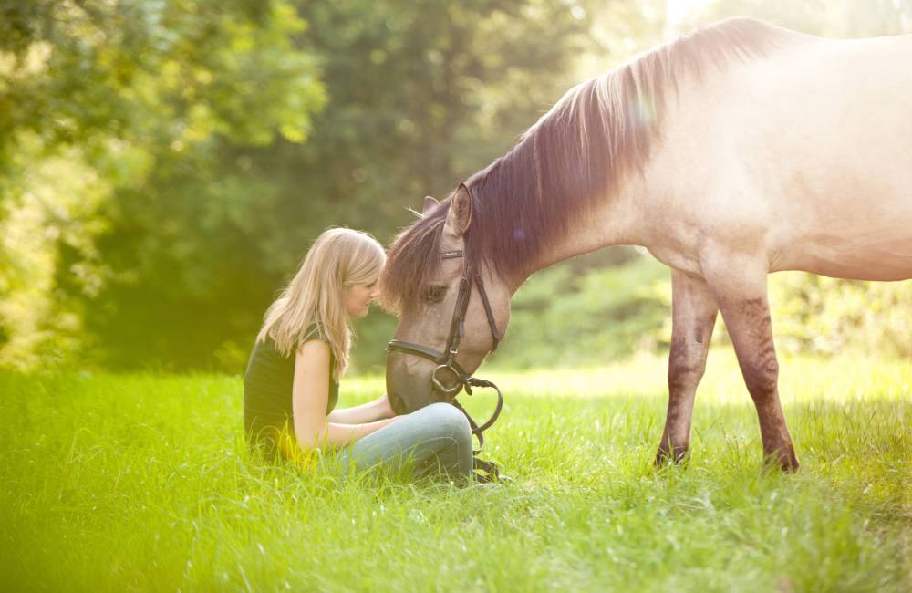 Mädchen mit Pferd auf einer sonnigen Wiese